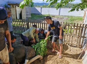 Idul Adha 1445 H, KPU Gorut Berbagi Daging Qurban untuk Warga