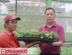 Berdayakan Petani Bunga di TIFF, Wali Kota Caroll Serahkan 50 Ribu Stek Krisan