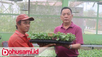 Berdayakan Petani Bunga di TIFF, Wali Kota Caroll Serahkan 50 Ribu Stek Krisan