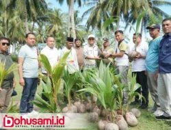 Dalam Rangka Gerakan Agro Mopomulo (GAM), Bupati Thariq Pimpin Kegiatan Menanam Kelapa di Pantai Minanga